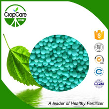 NPK Water Soluble Fertilizer 19-9-19+Te Fertilizer Manufacturer